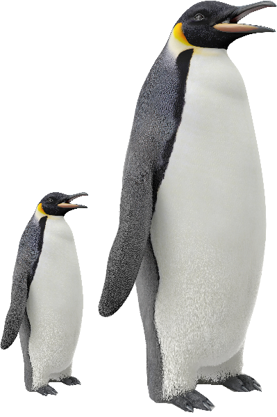Kingdom of Living Things